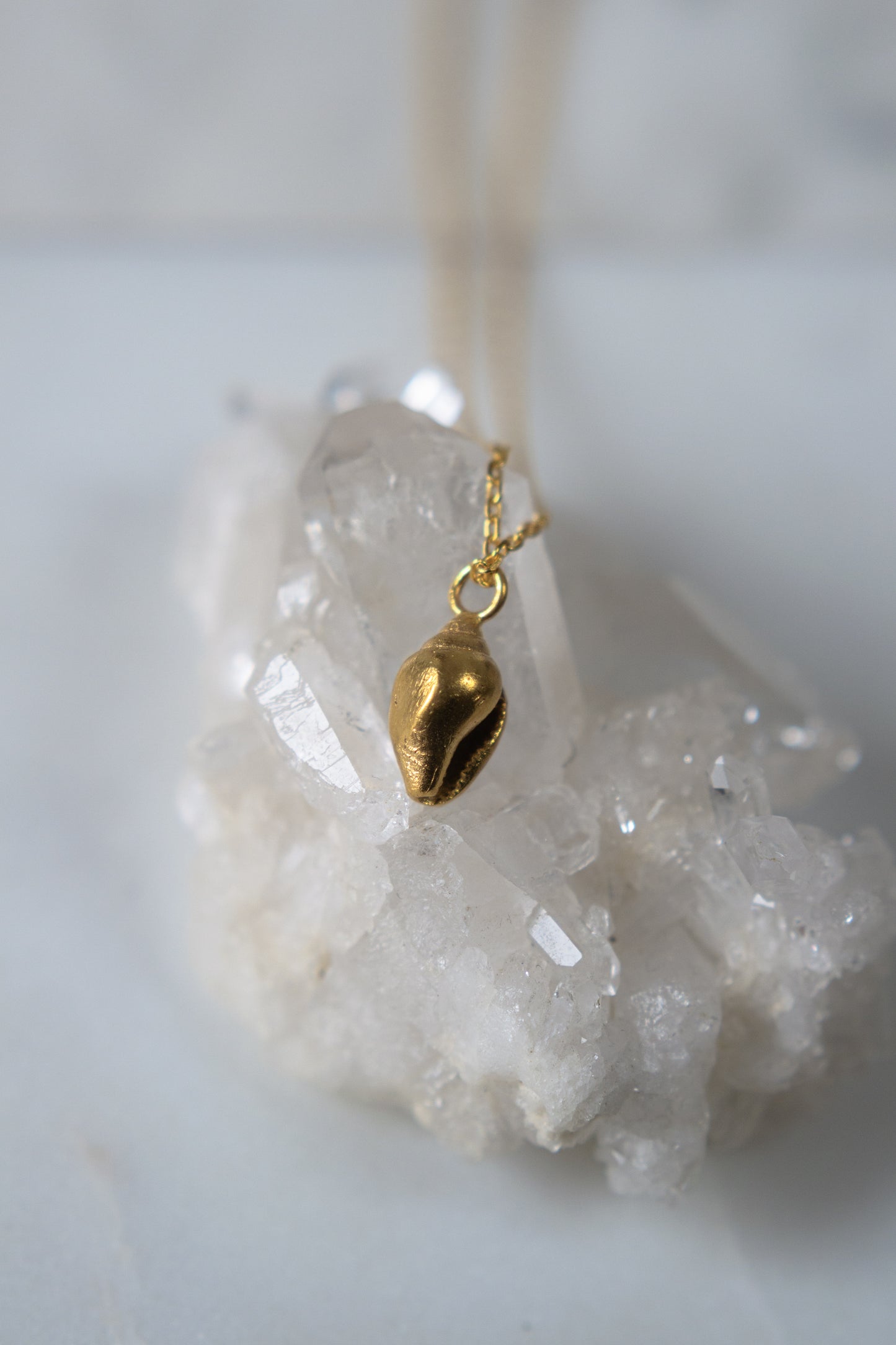 MINI SEASHELL nyaklánc