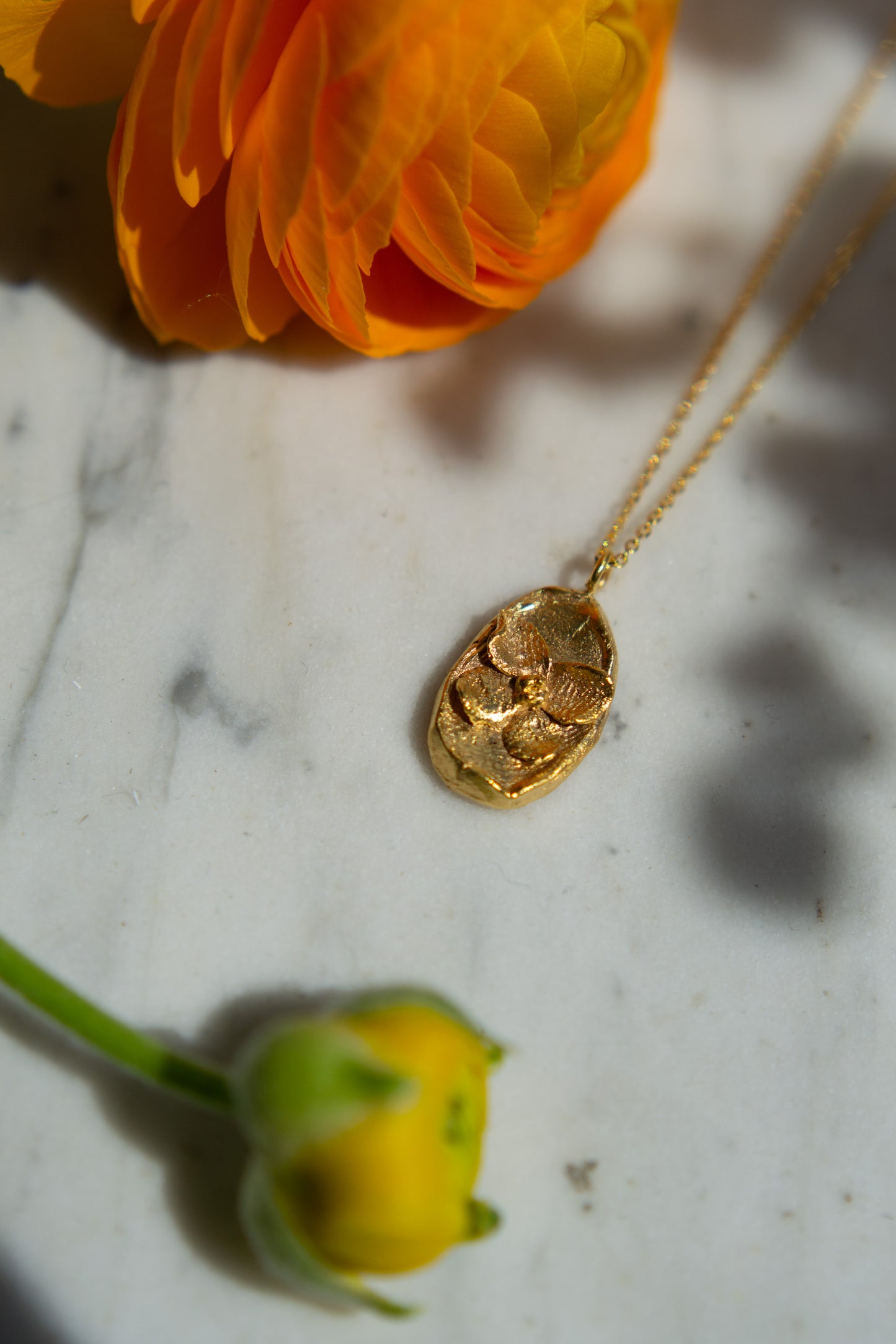 Antheia Arabis Caucasica