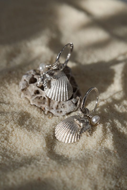 Venus shell x Asterias fülbevaló