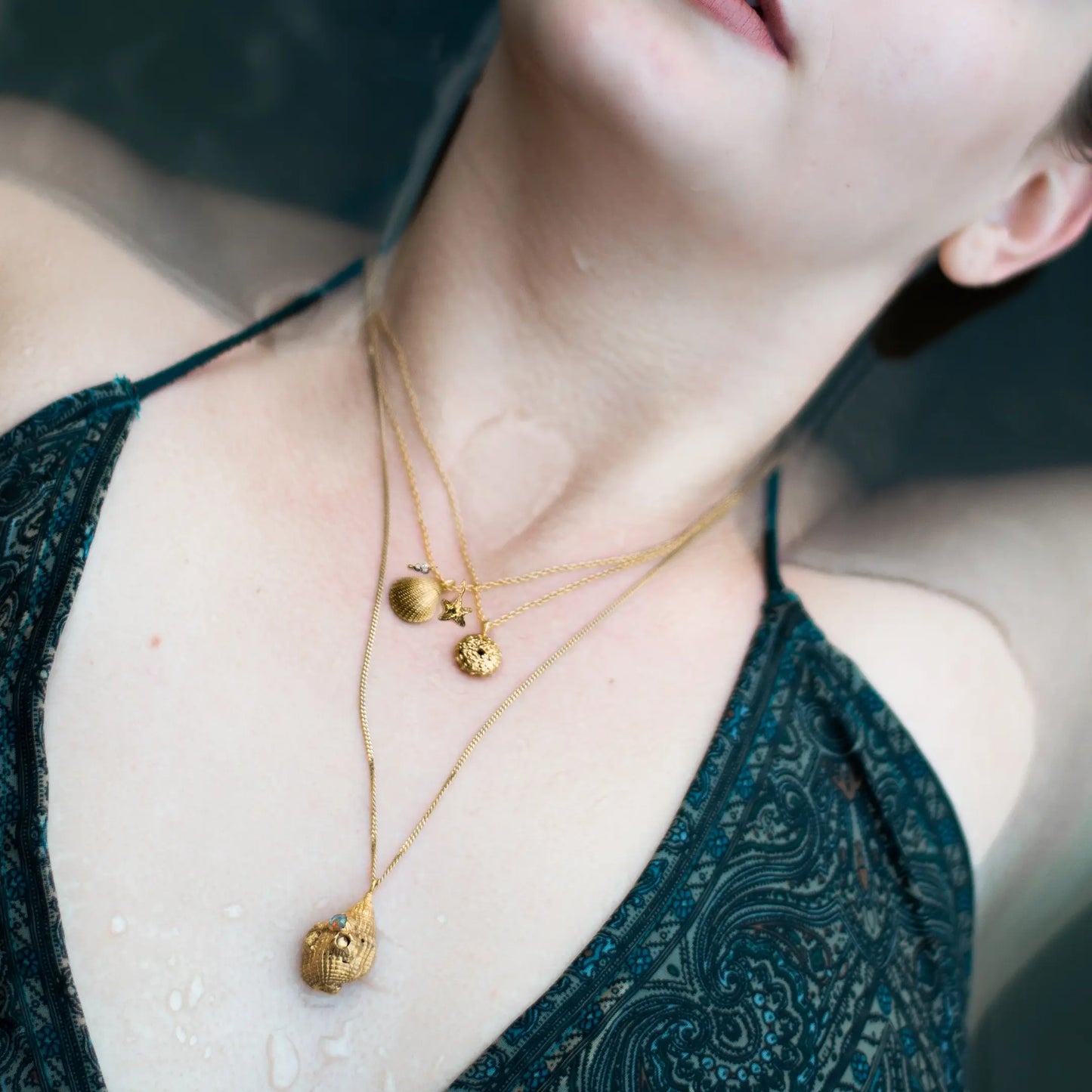 VENUS SHELL x ASTERIAS nyaklánc